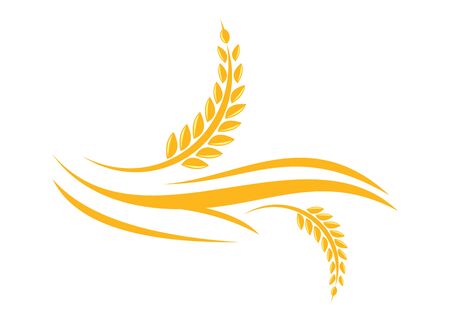 agriculture wheat designのイラスト素材