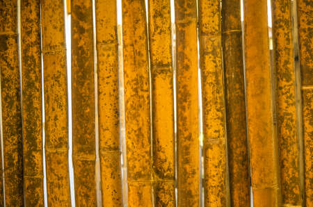 backgroundの写真素材