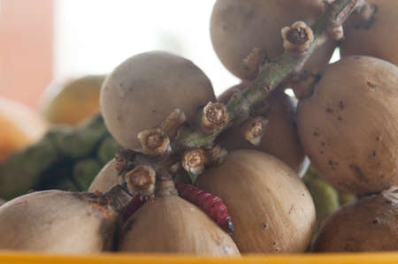 worms take lunch eating Fruit rotの写真素材
