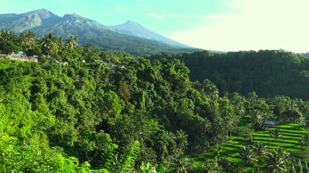 Gorgeous green mountain view with blue sky, located in Lombok Indonesia.