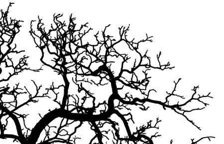 Branch tree vector illustration for design your web poster, banner, background, template, etc.のイラスト素材