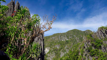 Beautiful view of cliffs and green trees and blue skyの写真素材