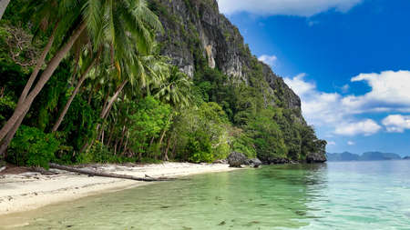 Amazing view of the beach with clear water and coconut trees with blue cloudy skyの写真素材