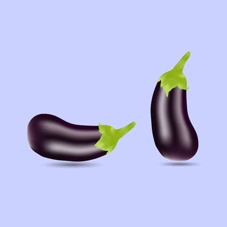 vector illustration of two purple eggplant design isolated on blue backgroundのイラスト素材