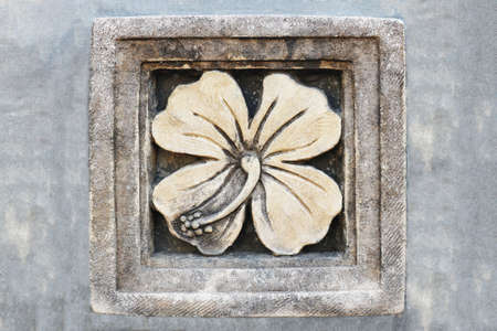 A Flower Sandstone On The Cement Wallの写真素材