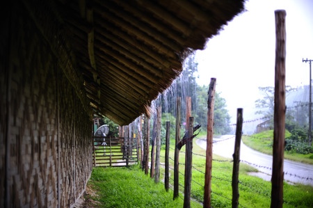 Raining on Bamboo hutの写真素材