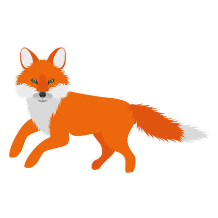 cartoon orange foxのイラスト素材