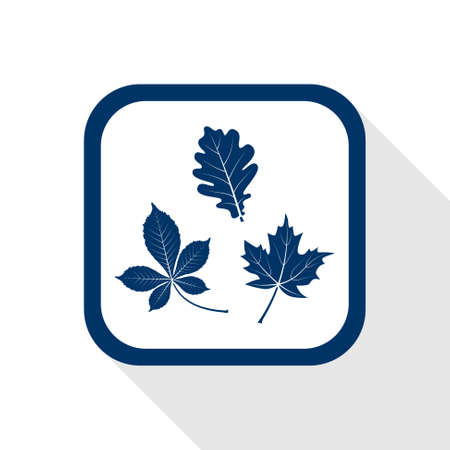 square blue icon with long shadow - autumn set of leaves - oak, maple, horse chestnutのイラスト素材