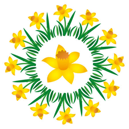 Vector colored circular round spring mandala with flower daffodil - adult coloring book page.のイラスト素材
