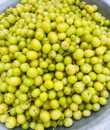 A bowl overflowing with fresh, ripe gooseberriesの写真素材