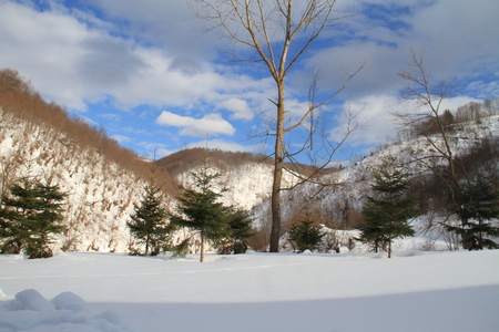 Winter view on the countrysideの写真素材