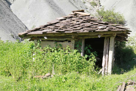 Old hut in countryside covered by plantsの写真素材