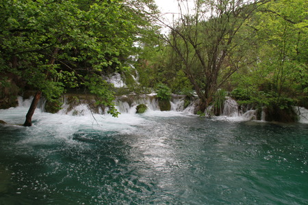Water and trees in Plitivce lake, Croatiaの写真素材