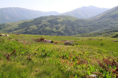 Meadow and the mountainの写真素材