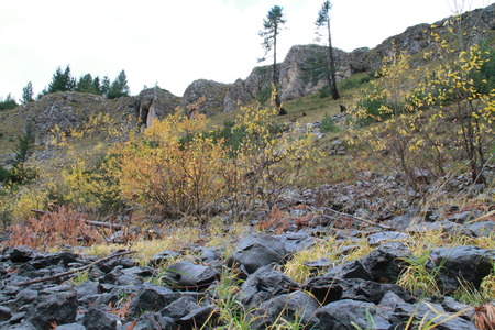 Rocks and plants in Rugova valley, Kosovoの写真素材