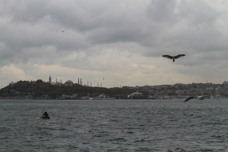 Birds flying in a cloudy day in Istanbul, Turkey の写真素材