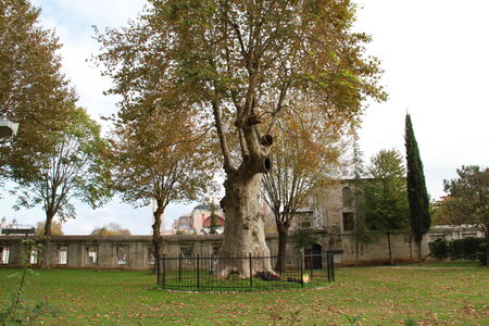 A park in Sultan Ahmet mosque, Istanbul, Turkeyの写真素材