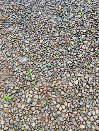 Small stones during the day. Small stone background.