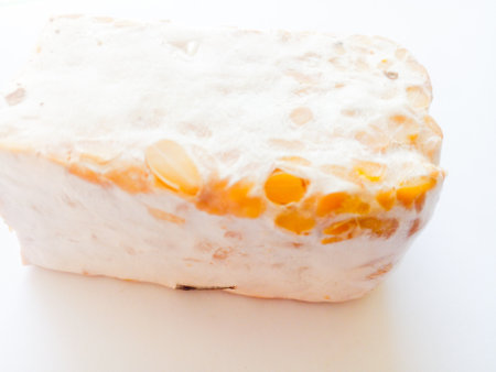 Raw tempeh isolated on white background. Delicious typical Indonesian food.の写真素材