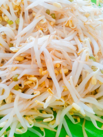 Boiled sprouts on a green plate. Delicious boiled sprouts.の写真素材