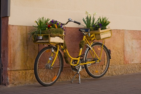 Flowers on a yellow bicycle on a house wallの写真素材