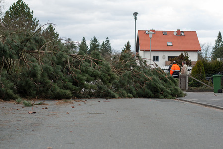 Storm damage. A tree that has fallen on a street after a stormの写真素材