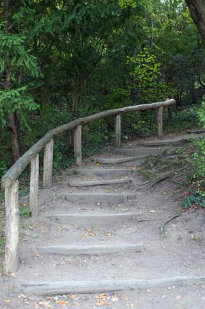 Path in forest with staircaseの写真素材