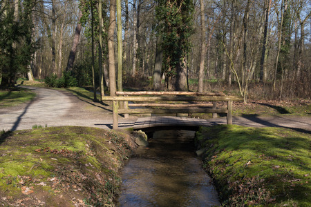 Small wooden bridge over a small brook in a forestの写真素材