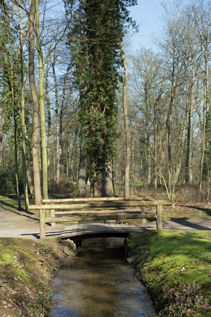 Small wooden bridge over a small brook in a forestの写真素材