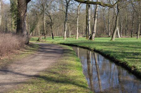 A path and a small brook in a forestの写真素材