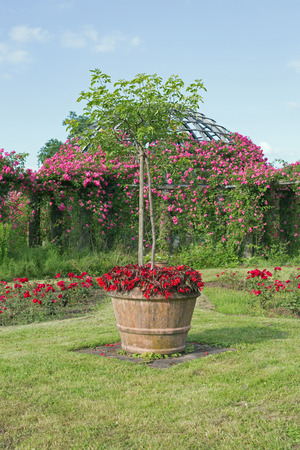 Rosendom (roses dome) on the Rosenhoehe in Darmstadt (Hesse, Germany)の写真素材
