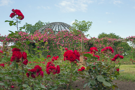 Rosendom (roses dome) on the Rosenhoehe in Darmstadt (Hesse, Germany)の写真素材
