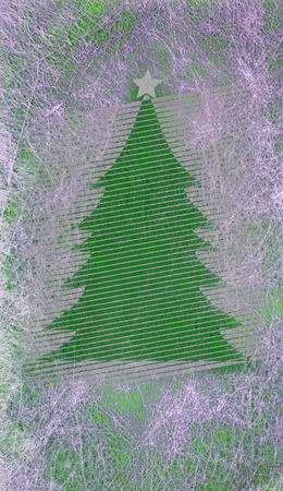 Abstract christmas tree and space for text, christmas cardの写真素材