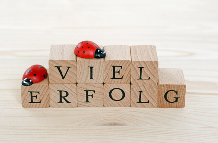 The german words for a lot of success (Viel Erfolg) and ladybugs on woodの写真素材