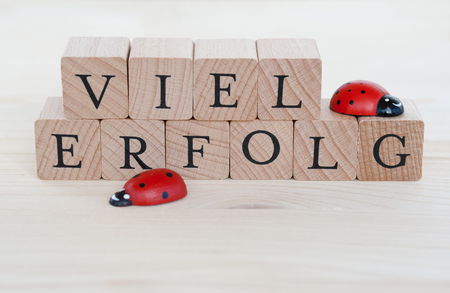 The german words for a lot of success (Viel Erfolg) and ladybugs on woodの写真素材