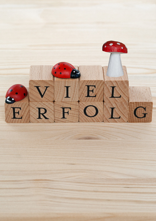 The german words for a lot of success (Viel Erfolg) and ladybugs and lucky beggar on woodの写真素材