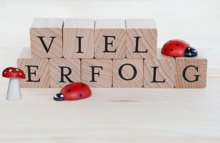 The german words for a lot of success (Viel Erfolg) and ladybugs and lucky beggar on woodの写真素材