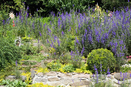 Stones garden with different plants and flowers and decoration in springの写真素材