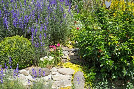 Stones garden with different plants and flowers and decoration in springの写真素材