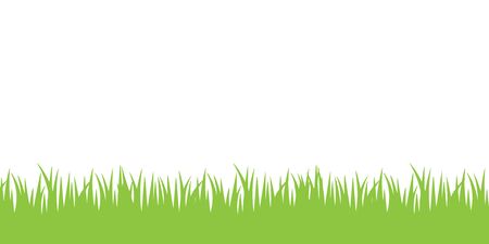 Illustration grass, white backgroundの写真素材