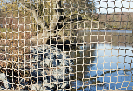 A lake in a forest, in the foreground a fishing netの写真素材