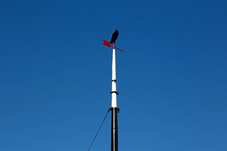 Ship mast with stylized bird and wind flagの写真素材
