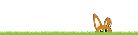 Grass and bunnyの写真素材