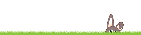 Grass and bunnyの写真素材