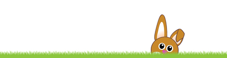 Grass and bunnyの写真素材