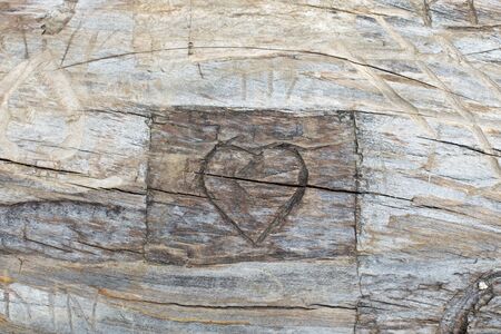 A carved heart in a tree trunkの写真素材