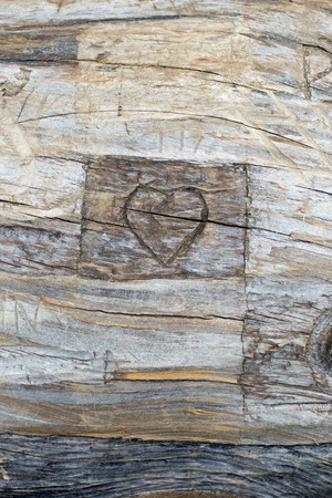 A carved heart in a tree trunkの写真素材