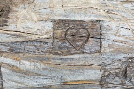 A carved heart in a tree trunkの写真素材