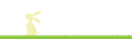 Grass and bunnyの写真素材