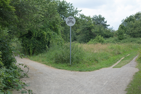 Right or left. A fork in the road in a forestの写真素材